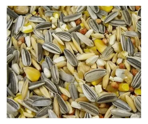 Alimento Semillas Loros Nifa Cacatua Mp001, 500gr - Imagen 2