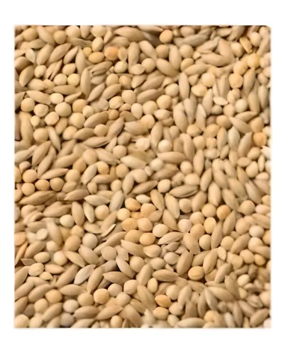 Alimento Para Aves Fortificado Mp003 500gr - Imagen 2