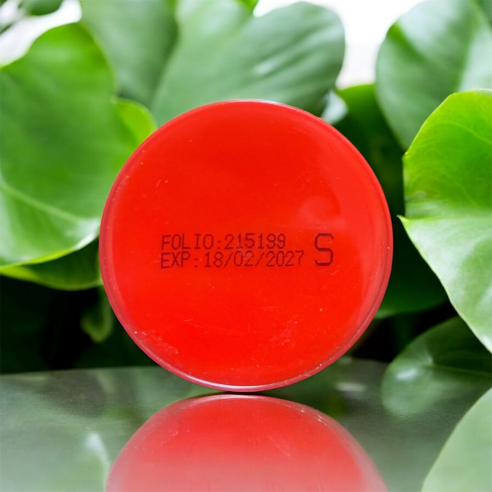 Siso Super-Gold 290ml (Grano rojo) S - Imagen 2