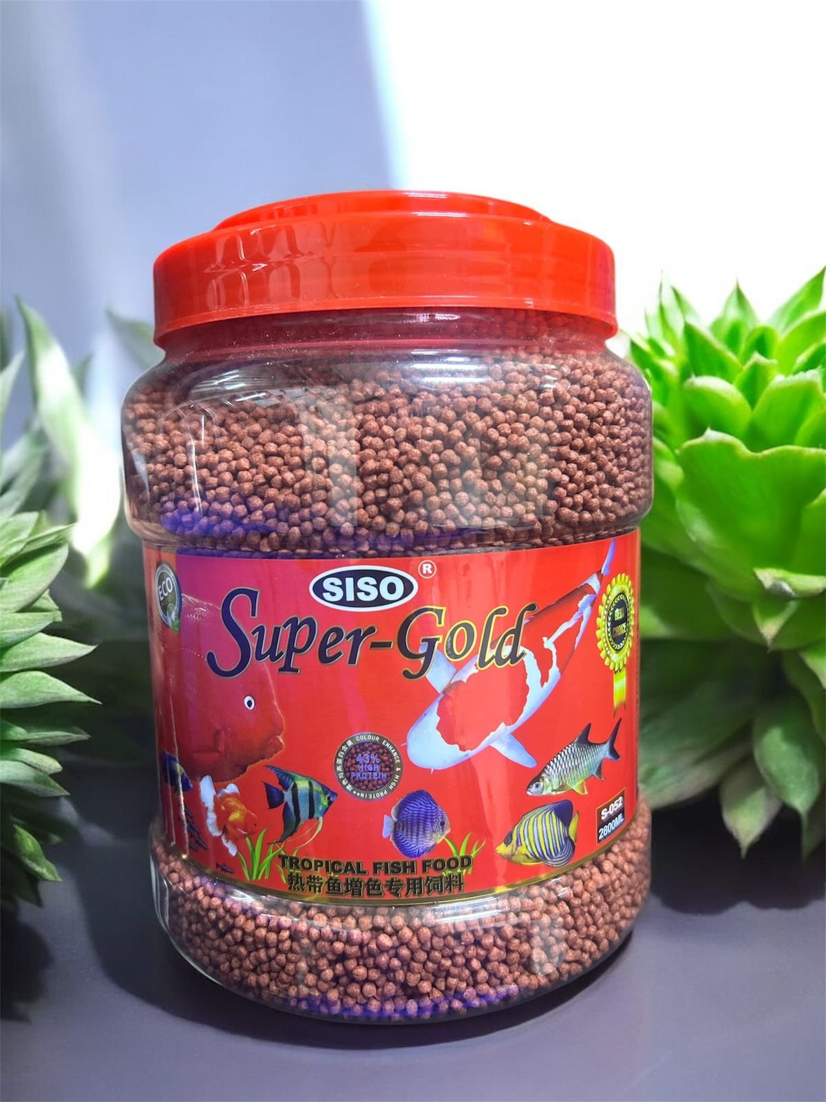 Siso Super-Gold 2800ml (Grano rojo) M